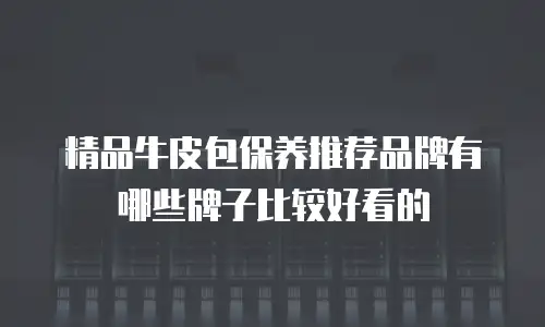 精品牛皮包保养推荐品牌有哪些牌子比较好看的