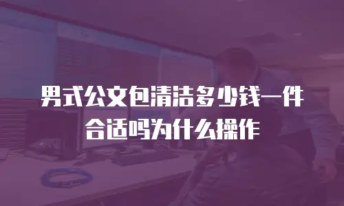 男式公文包清洁多少钱一件合适吗为什么操作
