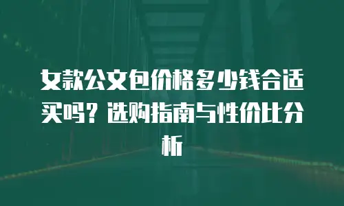 女款公文包价格多少钱合适买吗？选购指南与性价比分析