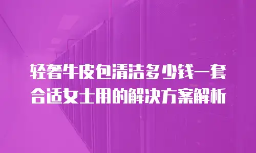 轻奢牛皮包清洁多少钱一套合适女士用的解决方案解析