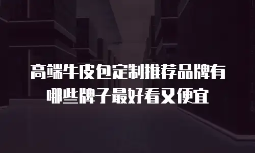 高端牛皮包定制推荐品牌有哪些牌子最好看又便宜