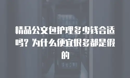 精品公文包护理多少钱合适吗？为什么便宜很多都是假的
