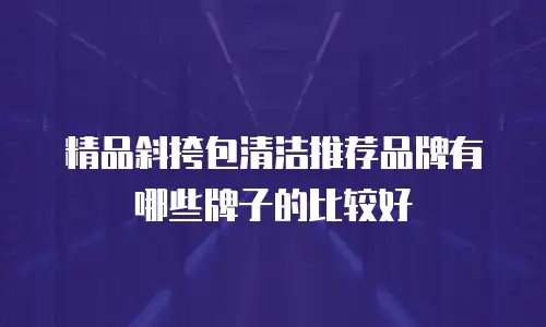 精品斜挎包清洁推荐品牌有哪些牌子的比较好