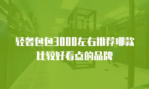 轻奢包包3000左右推荐哪款比较好看点的品牌