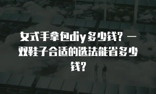 女式手拿包diy多少钱？一双鞋子合适的选法能省多少钱？