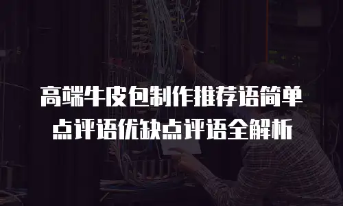 高端牛皮包制作推荐语简单点评语优缺点评语全解析