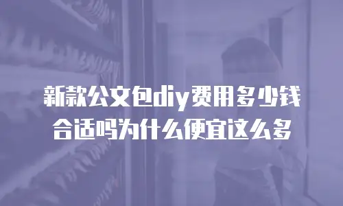 新款公文包diy费用多少钱合适吗为什么便宜这么多