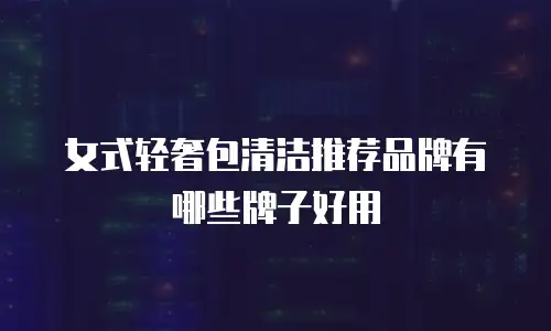 女式轻奢包清洁推荐品牌有哪些牌子好用