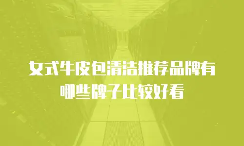 女式牛皮包清洁推荐品牌有哪些牌子比较好看