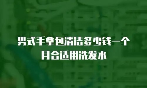 男式手拿包清洁多少钱一个月合适用洗发水