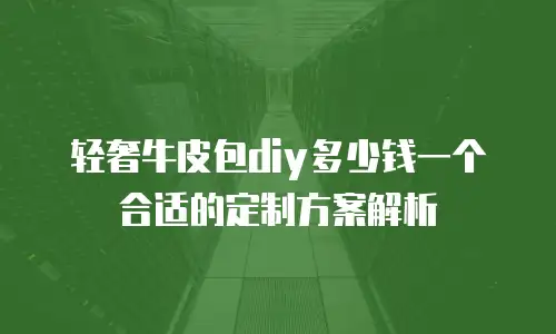 轻奢牛皮包diy多少钱一个合适的定制方案解析