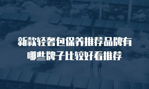 新款轻奢包保养推荐品牌有哪些牌子比较好看推荐