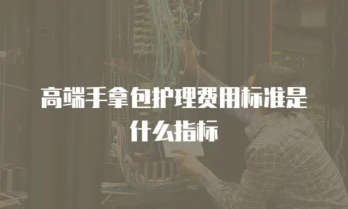 高端手拿包护理费用标准是什么指标