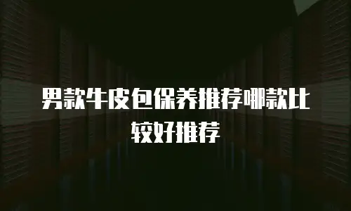 男款牛皮包保养推荐哪款比较好推荐