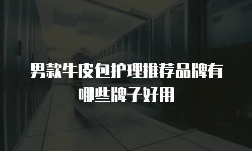 男款牛皮包护理推荐品牌有哪些牌子好用