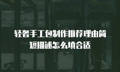 轻奢手工包制作推荐理由简短描述怎么填合适