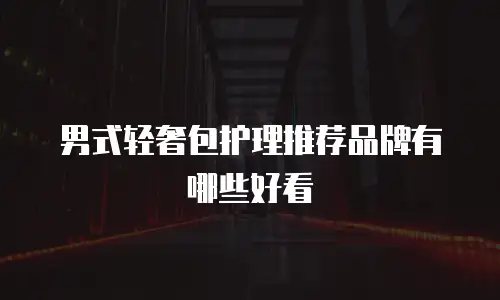 男式轻奢包护理推荐品牌有哪些好看