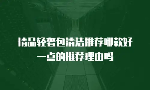 精品轻奢包清洁推荐哪款好一点的推荐理由吗