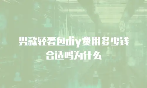 男款轻奢包diy费用多少钱合适吗为什么