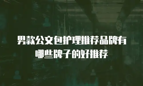 男款公文包护理推荐品牌有哪些牌子的好推荐