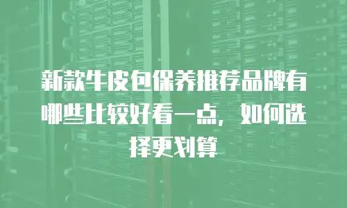 新款牛皮包保养推荐品牌有哪些比较好看一点，如何选择更划算