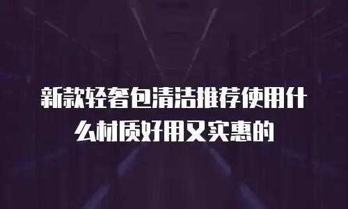 新款轻奢包清洁推荐使用什么材质好用又实惠的