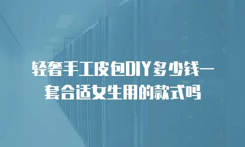 轻奢手工皮包DIY多少钱一套合适女生用的款式吗