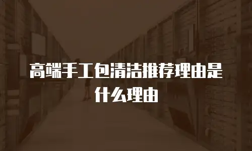 高端手工包清洁推荐理由是什么理由