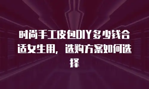 时尚手工皮包DIY多少钱合适女生用，选购方案如何选择