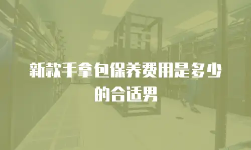 新款手拿包保养费用是多少的合适男