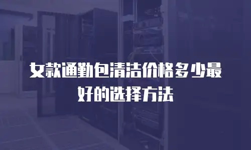 女款通勤包清洁价格多少最好的选择方法