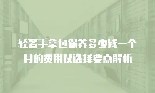 轻奢手拿包保养多少钱一个月的费用及选择要点解析