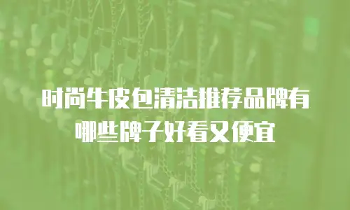时尚牛皮包清洁推荐品牌有哪些牌子好看又便宜