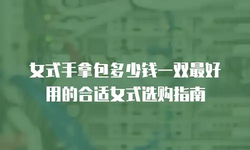 女式手拿包多少钱一双最好用的合适女式选购指南