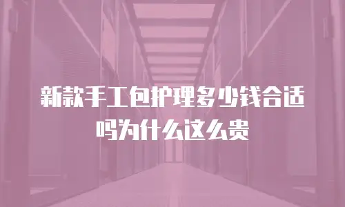 新款手工包护理多少钱合适吗为什么这么贵