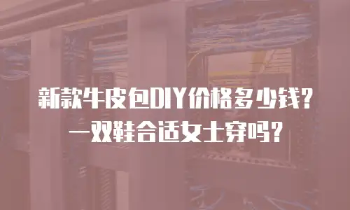 新款牛皮包DIY价格多少钱？一双鞋合适女士穿吗？