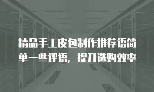 精品手工皮包制作推荐语简单一些评语，提升选购效率