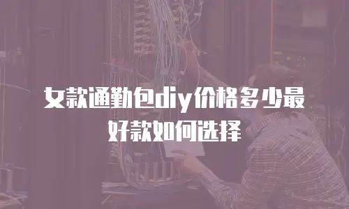 女款通勤包diy价格多少最好款如何选择