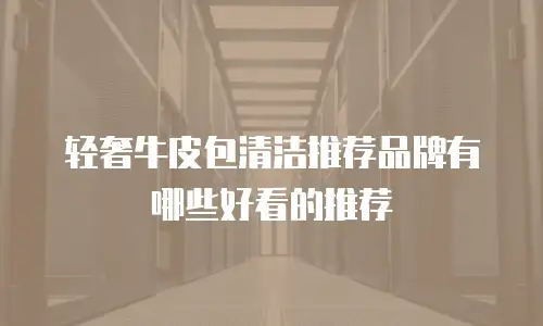 轻奢牛皮包清洁推荐品牌有哪些好看的推荐