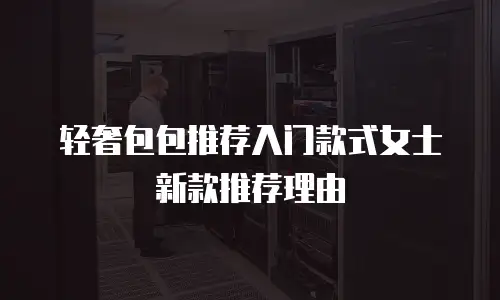 轻奢包包推荐入门款式女士新款推荐理由
