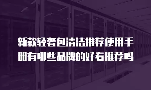 新款轻奢包清洁推荐使用手册有哪些品牌的好看推荐吗