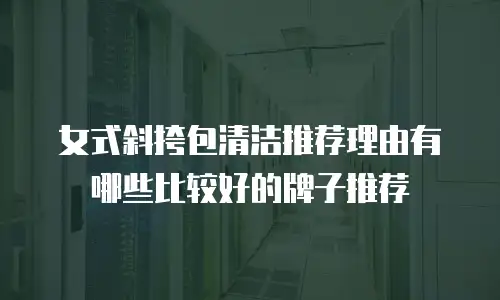 女式斜挎包清洁推荐理由有哪些比较好的牌子推荐