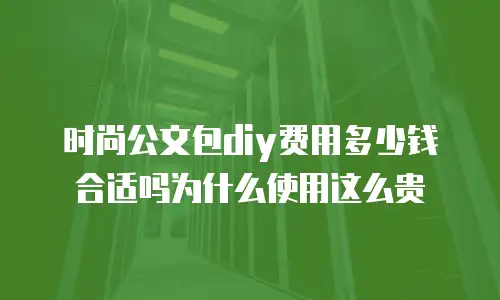 时尚公文包diy费用多少钱合适吗为什么使用这么贵