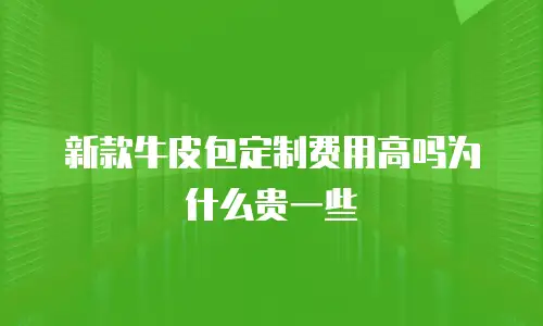 新款牛皮包定制费用高吗为什么贵一些
