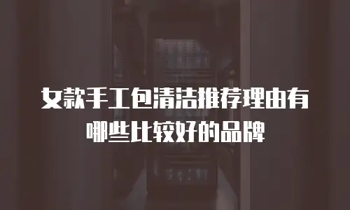 女款手工包清洁推荐理由有哪些比较好的品牌