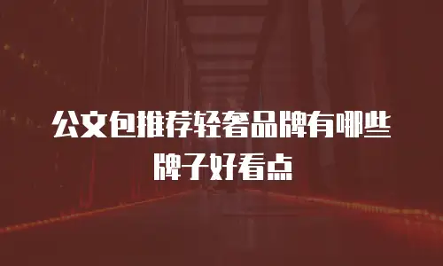 公文包推荐轻奢品牌有哪些牌子好看点
