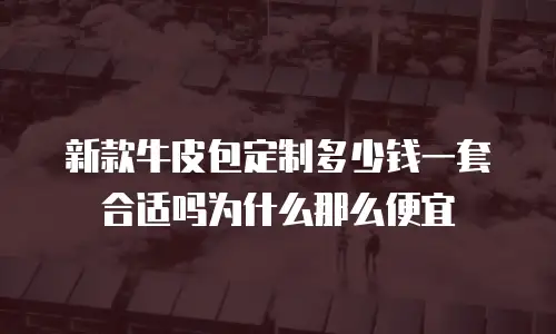 新款牛皮包定制多少钱一套合适吗为什么那么便宜