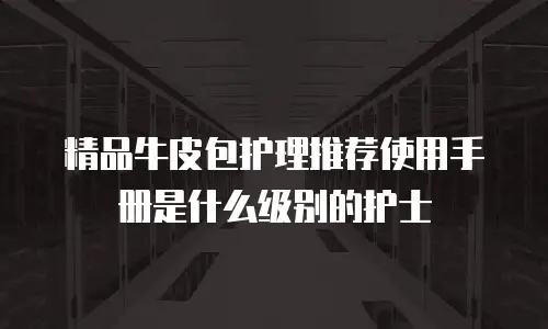 精品牛皮包护理推荐使用手册是什么级别的护士