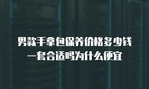 男款手拿包保养价格多少钱一套合适吗为什么便宜
