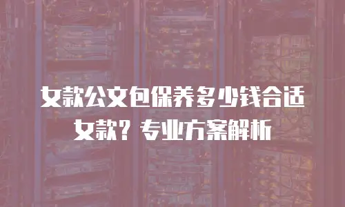 女款公文包保养多少钱合适女款？专业方案解析